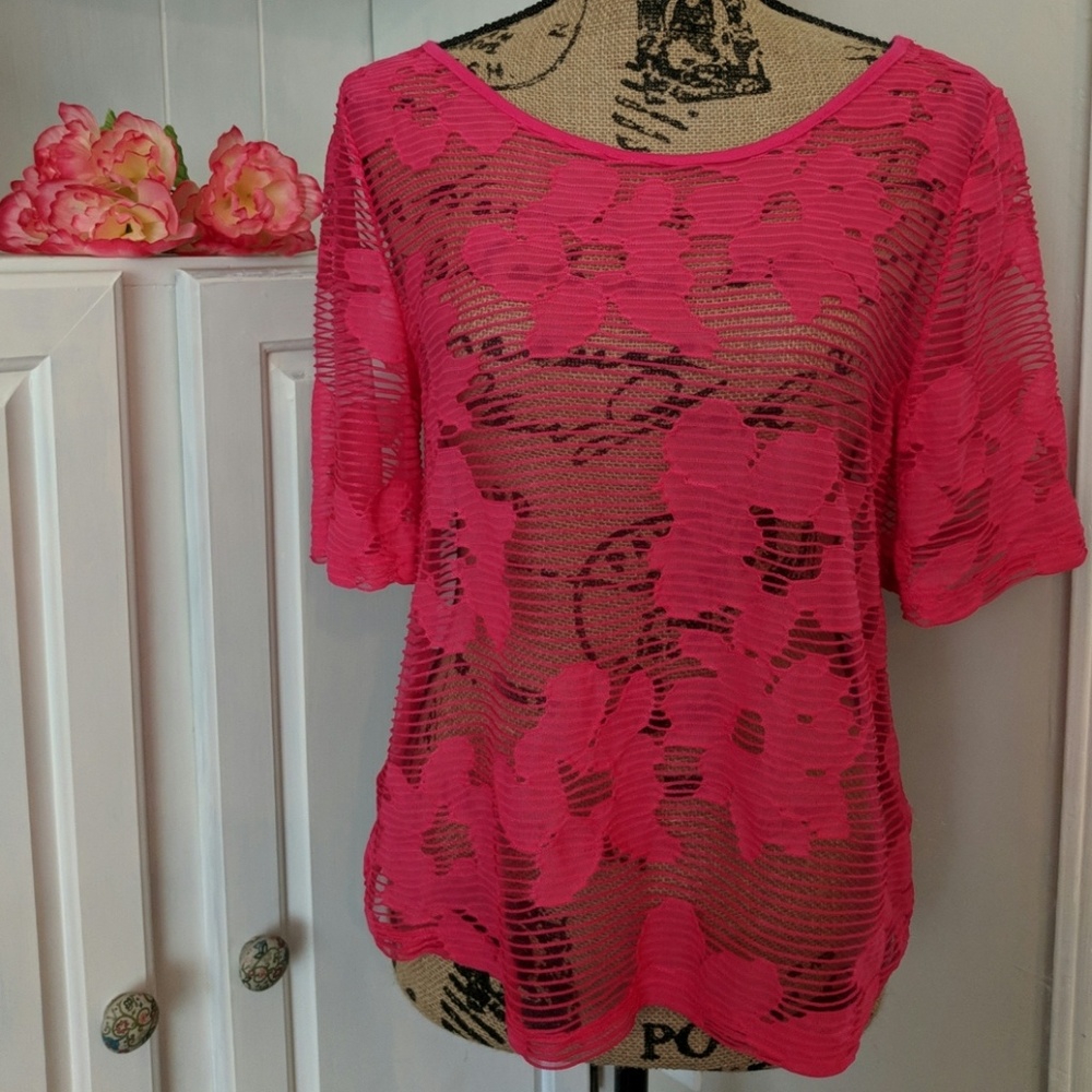 🌺 Boutique Pink Sheer Top🌺